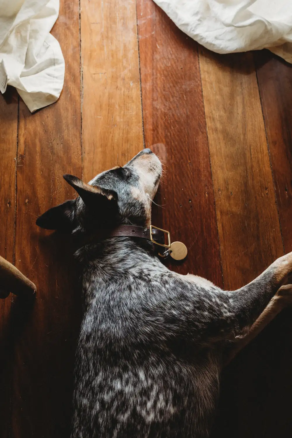 Byron Bay Family Photographer
