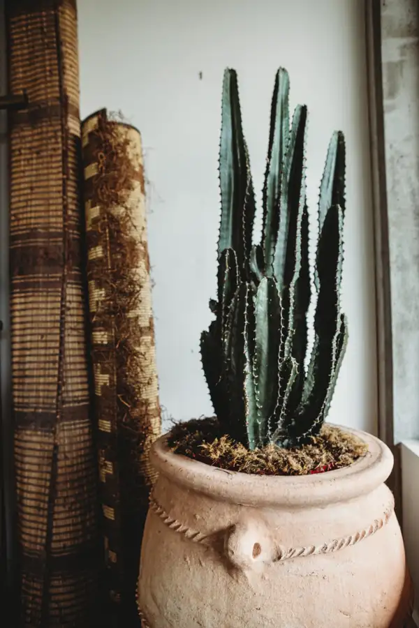 Tigmi Trading Byron Bay